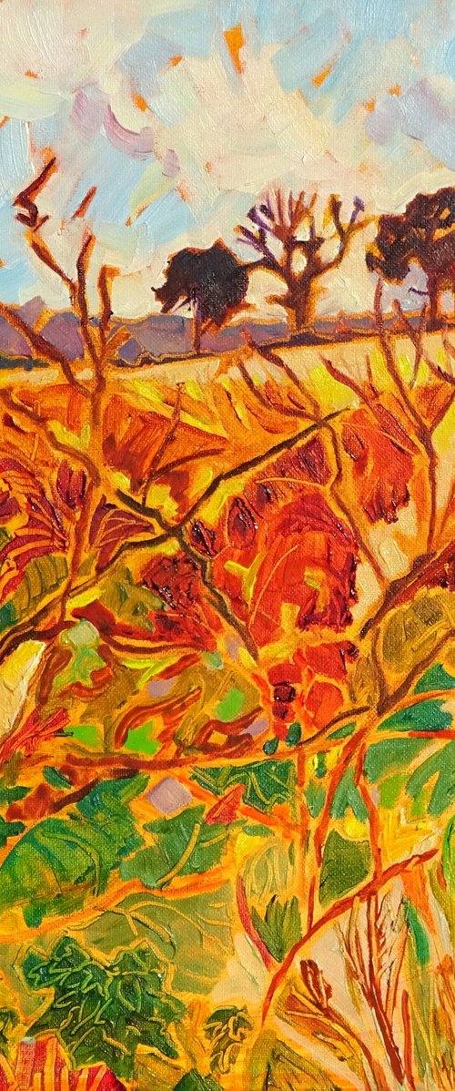 Derbyshire Hedgerow - Winter Landscape by Mary Kemp