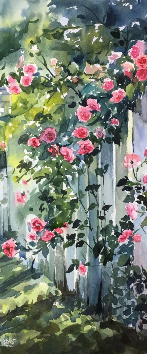 Rose Garden by Jing Chen