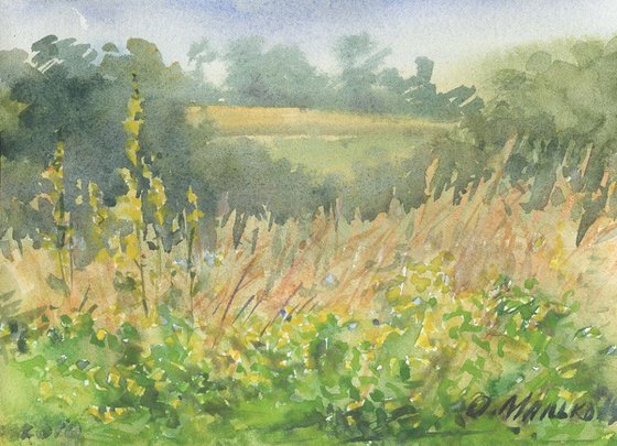 Summer grassland / Watercolor landscape Rural scenery