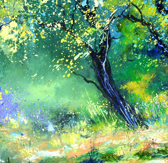 Leprechauns' meeting place