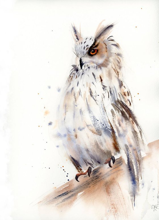 Horned owl
