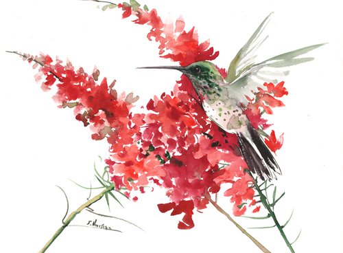 Hummingbird and red flowers by Suren Nersisyan