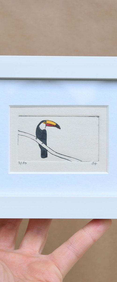 Small framed toucan by Sally Fisher