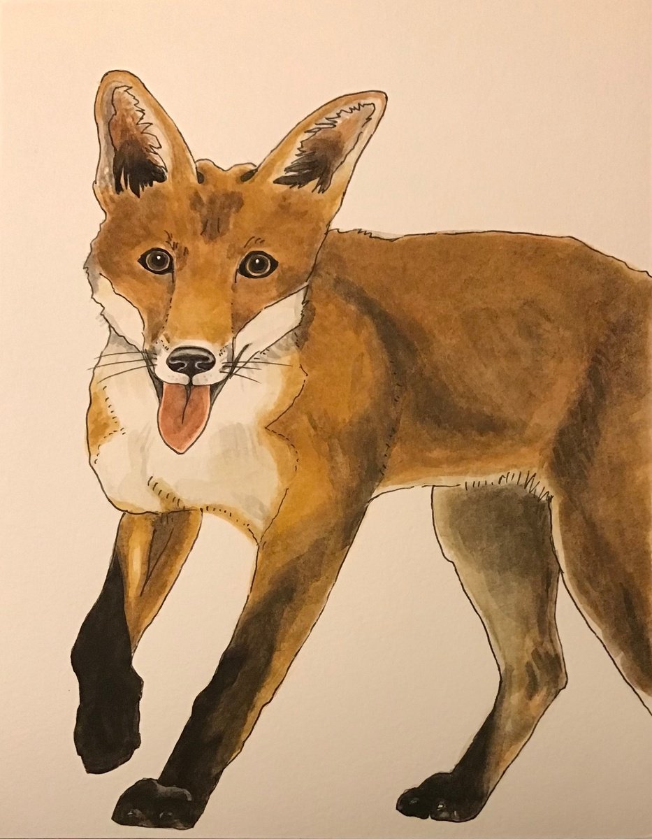 Fox by Kitty Cooper