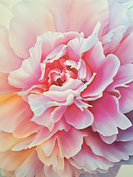 Charming peony