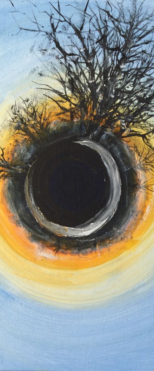Tiny Planet "Sunset in the forrest" by Tihomir Cirkvencic