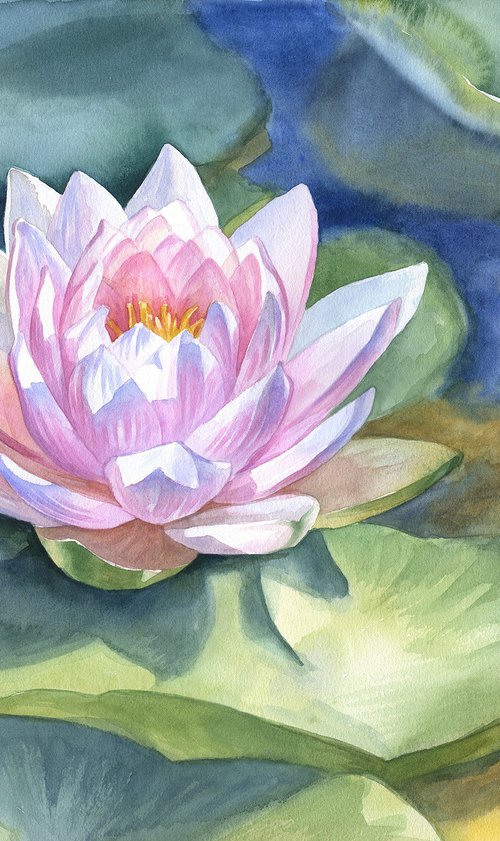 Pink water lily original watercolor painting gift for her lotus flower floral by Julia Logunova