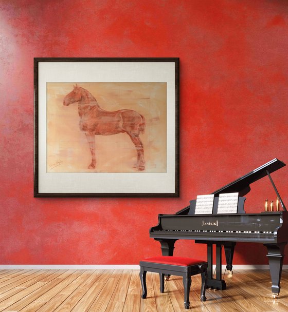 Percheron Stallion Study