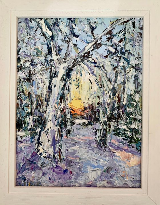 Sunset in winter forest