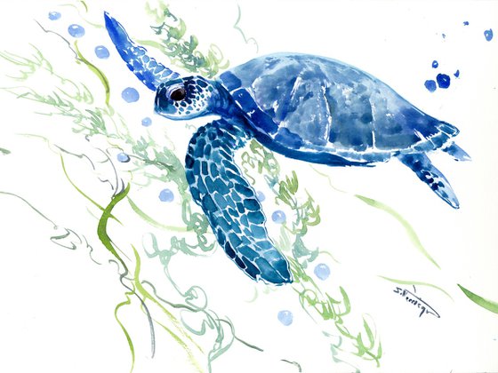 Sea Turtle