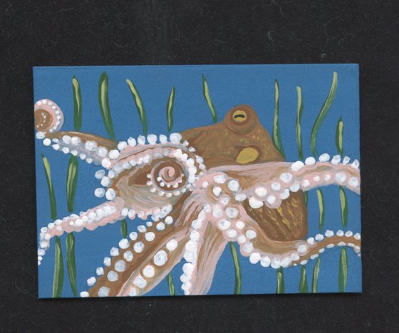 ACEO ATC Original Painting Octopus Marine Wildlife Art-Carla Smale