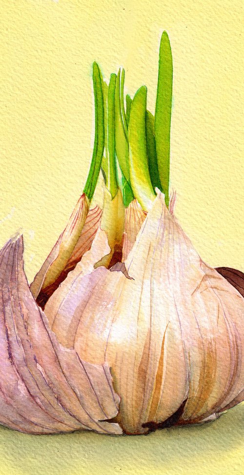 Garlic by REME Jr.