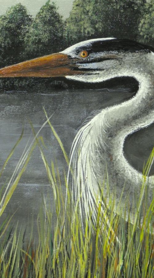 Heron in Tall Grass by Donna Daniels