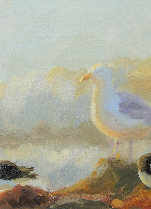 Gull amongst the Oystercatchers by Rebecca Thorley-Fox