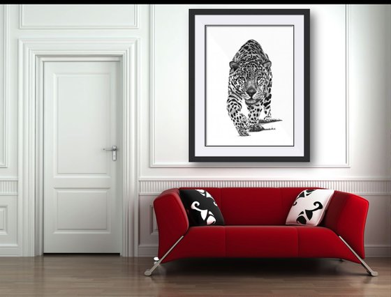 Leopard