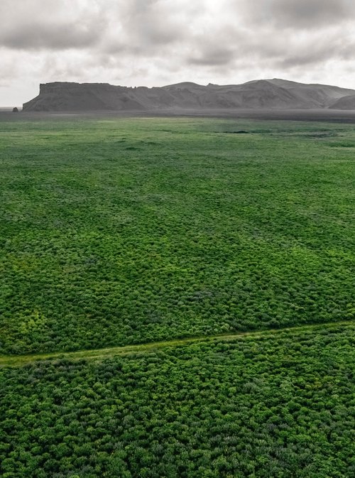 ICELANDIC GREEN by Fabio Accorrà