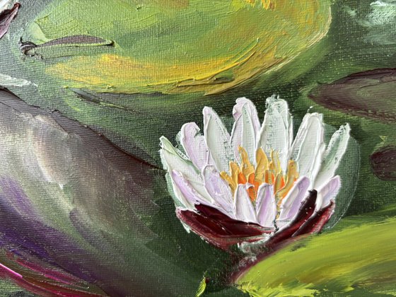 Serenity of Water Lilies
