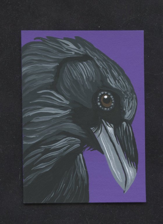 ACEO ATC Original Miniature Painting Crow Raven Bird Wildlife Art-Carla Smale