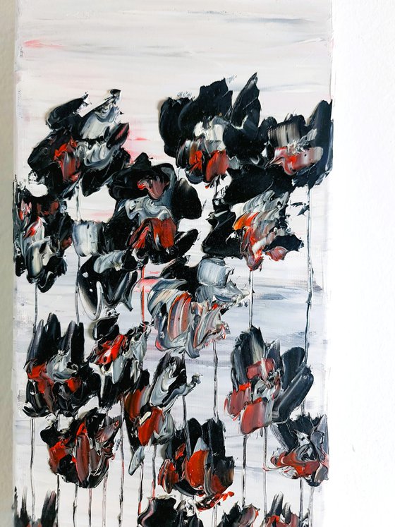Black Poppies 2