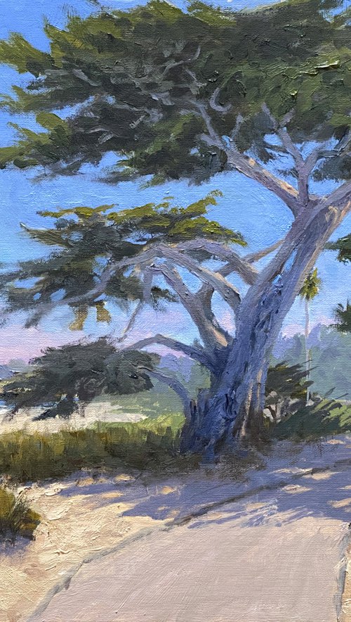 Sculpted By the Winds In Carmel by Tatyana Fogarty