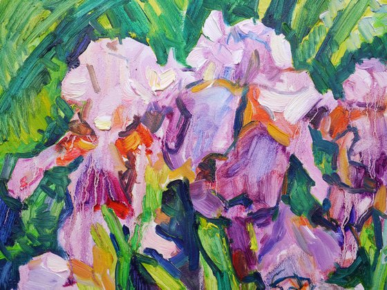 Violet Irises (plein air)