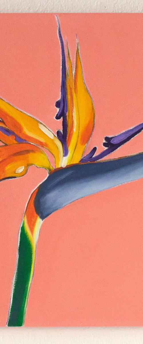 Bird of Paradise by Petr Johan Marek