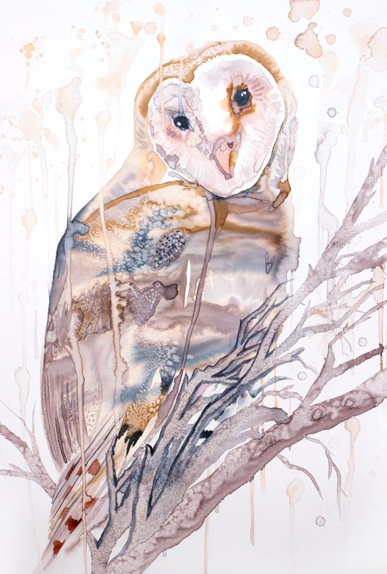 Barn Owl No. 9