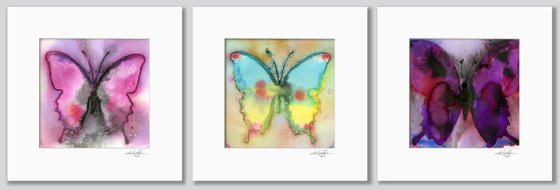 Alluring Butterfly Col. 6