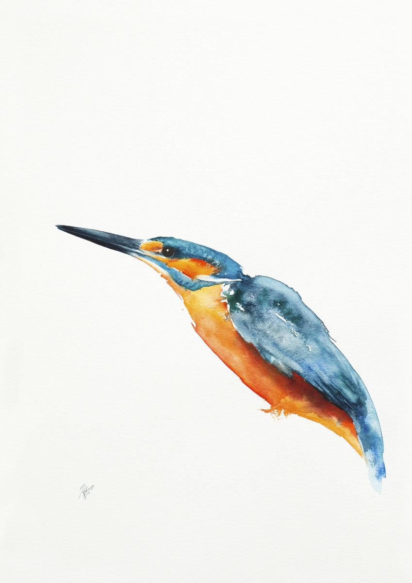 Illustrative Watercolour , Kingfisher By Andrzej Rabiega, 17 X 23, Artwork For Sale On Artfinder