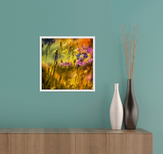 Summer Meadows #5. Limited Edition 1/25 12x12 inch Abstract Photographic Print.