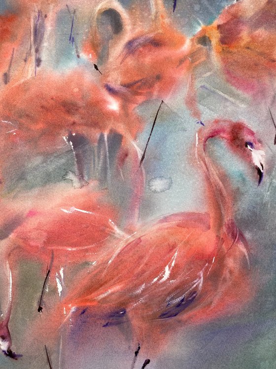 Flamingo Waltz