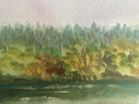 The colours of the woods and lake
