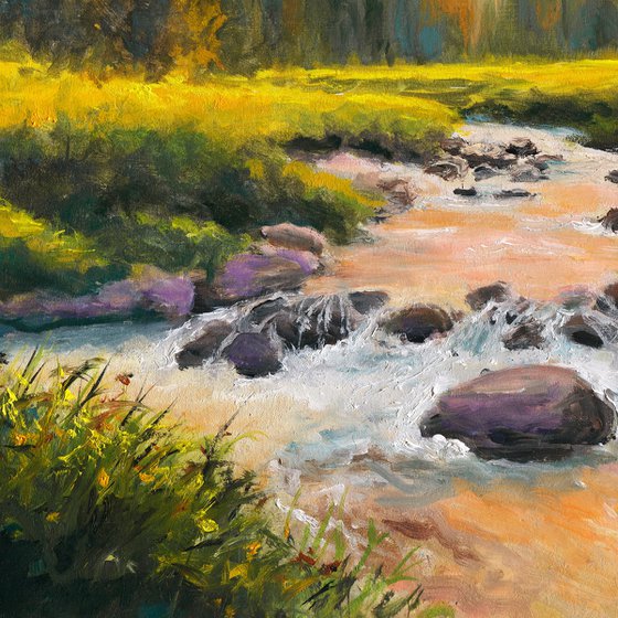 Pine trees by the river sunset