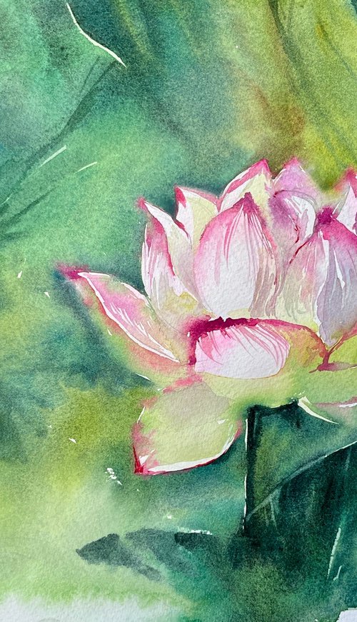 Lotus by Larissa Rogacheva