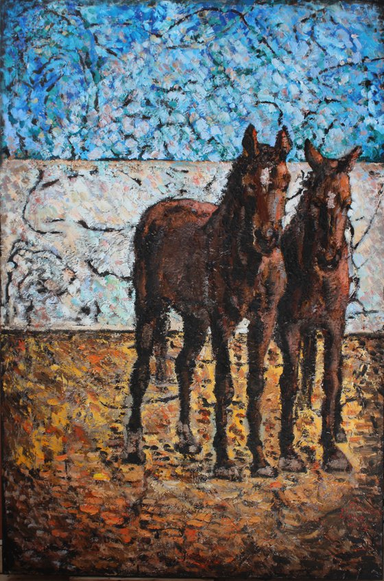 Horses in Villacana