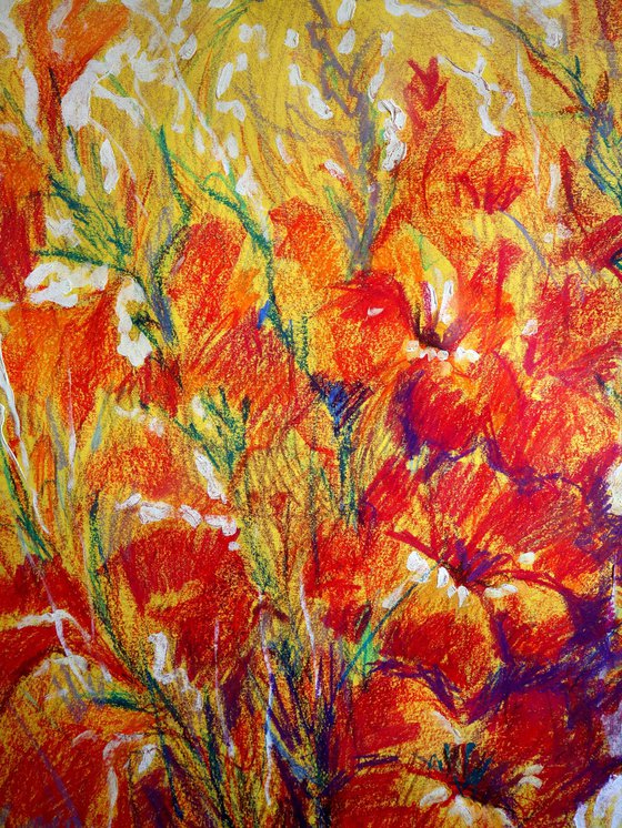 Gladiolus 2