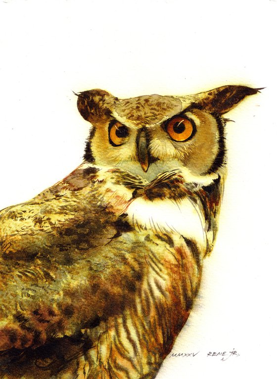 OWL II