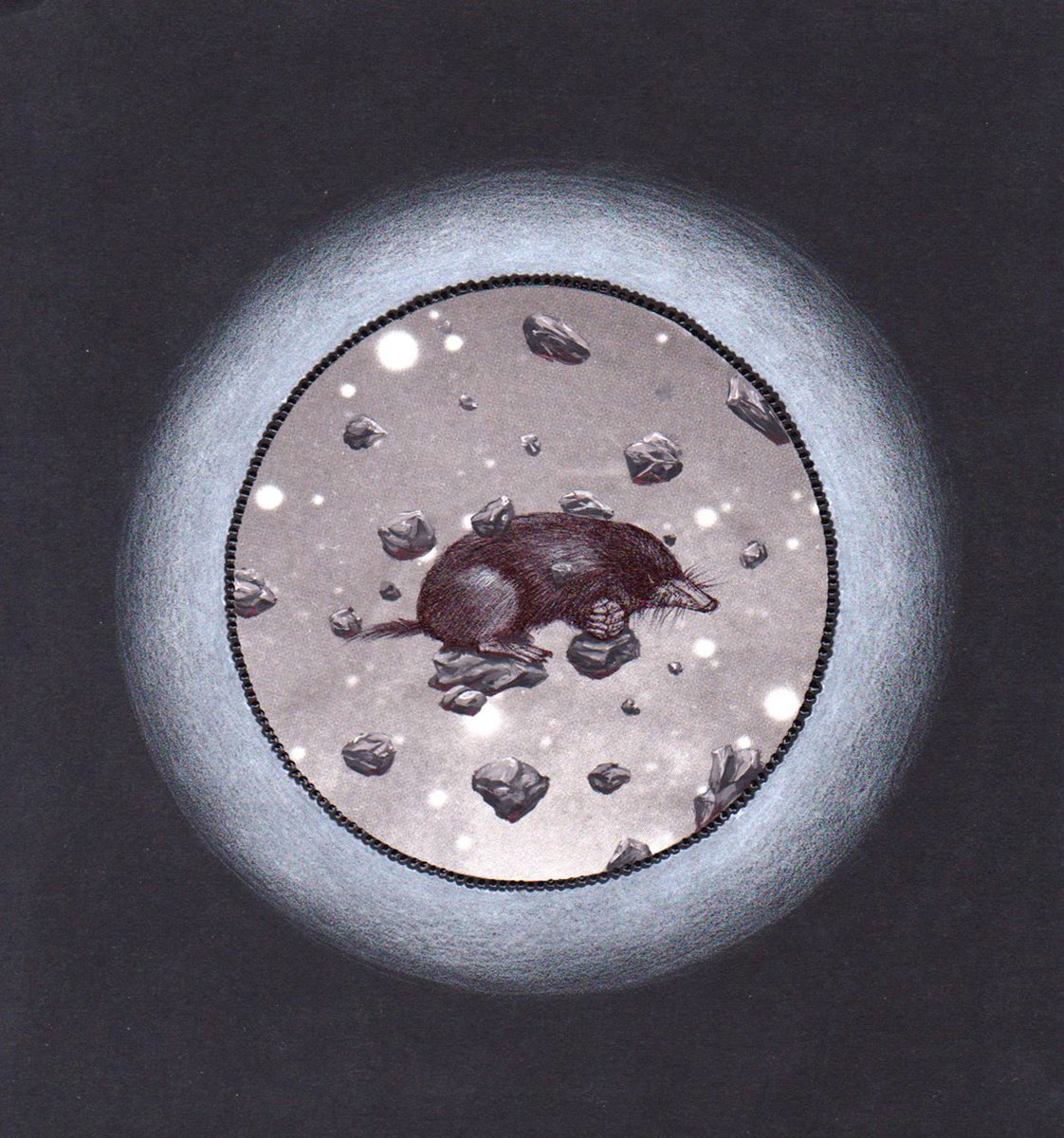 Animal Painting By Andromachi Giannopoulou, 8 X 8, Mole In Space, Original Artwork