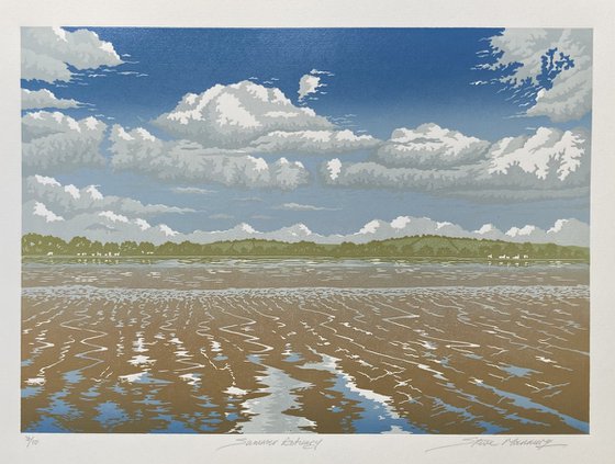 Summer Estuary