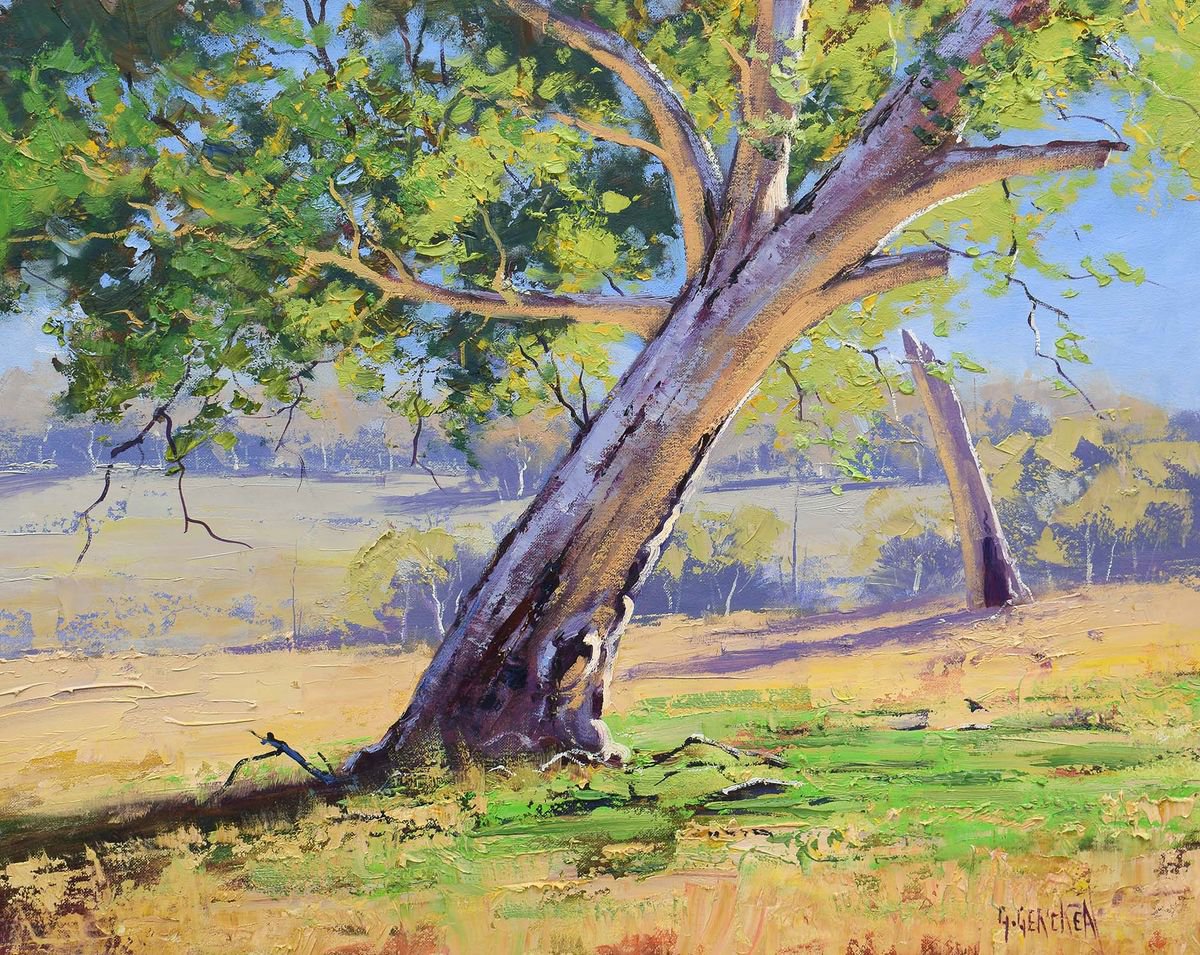 Australian Eucalyptus tree summer landscape by Graham Gercken