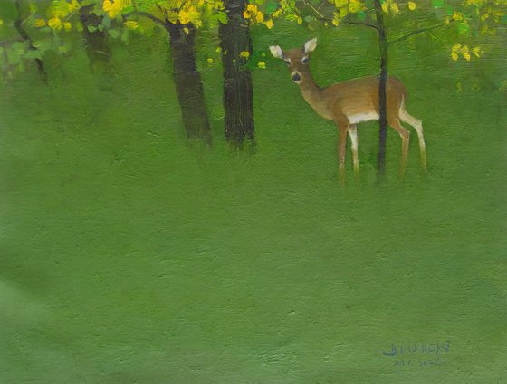 Silent Encounter