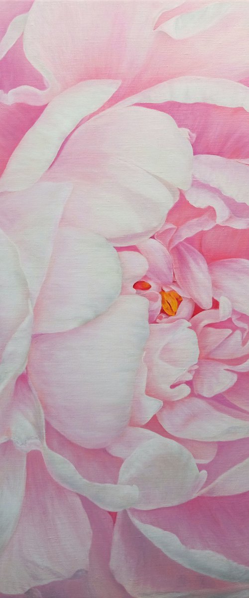 Divine Peony by Anastasia Woron
