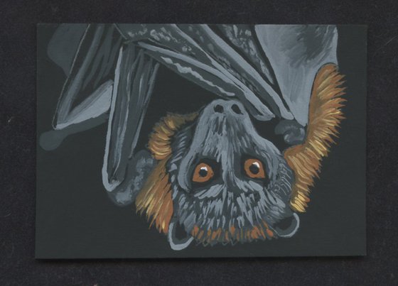 ACEO ATC Original Miniature Painting Bat Wildlife Art-Carla Smale
