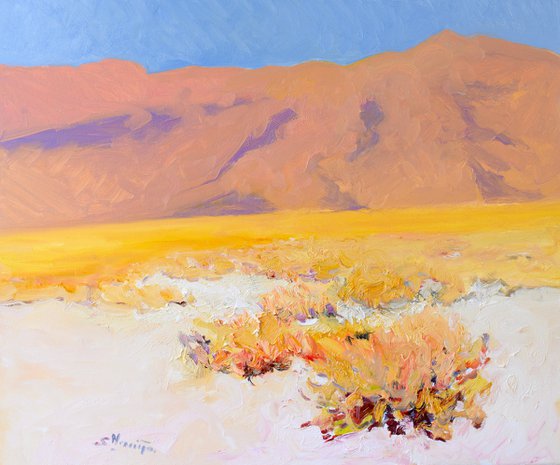 White, Sandy Desert