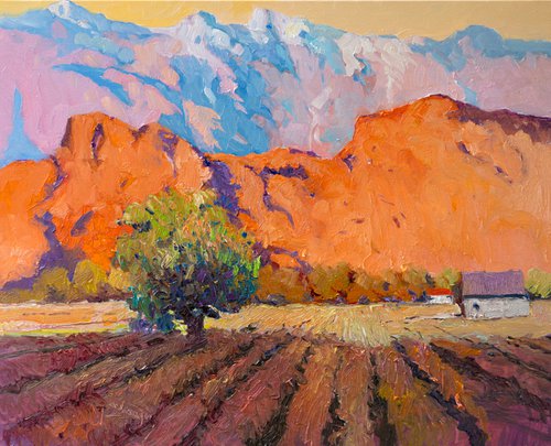 Orange Light of California, Vineyards by Suren Nersisyan