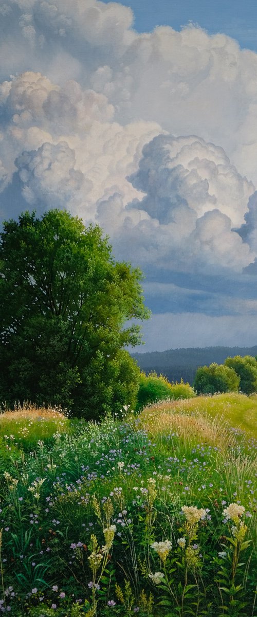 Stormy summer landscape by Mlynarcik Emil
