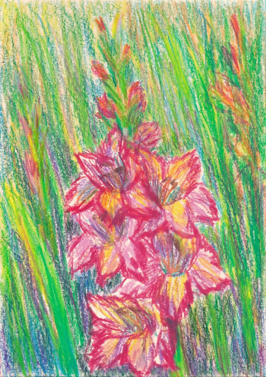 Gladiolus Flowers, 2018, oil pastel on paper, 29.5 x 21 cm by Alenka Koderman