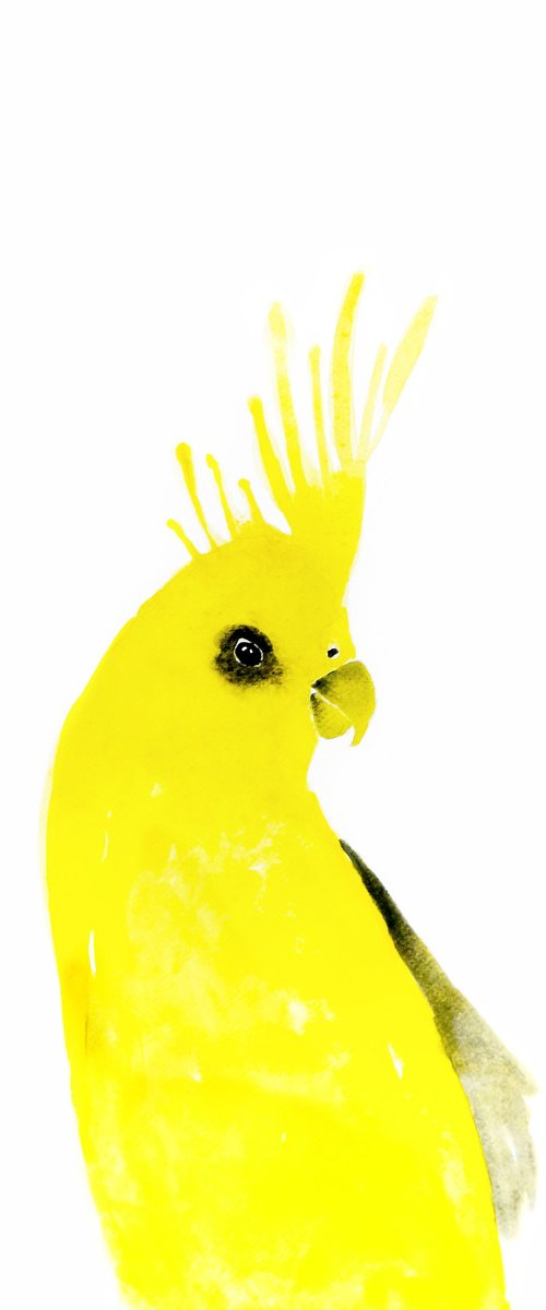 Bird by Nadia Moniatis