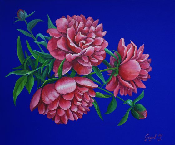 Peonies