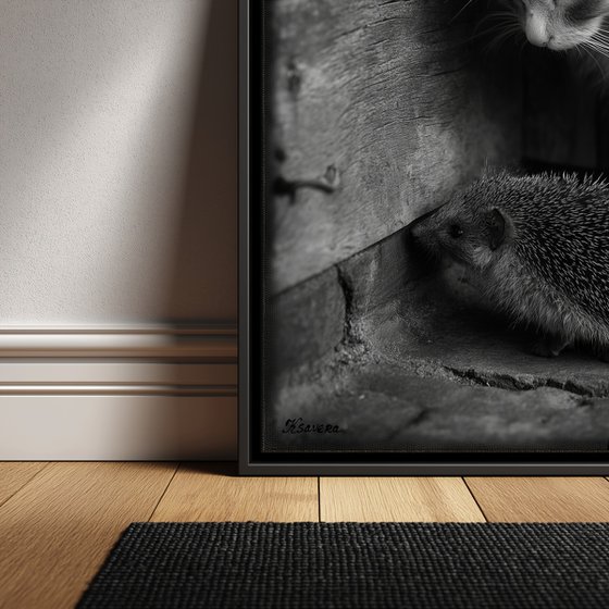 Cat in village B0805N